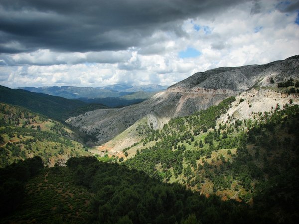 Quels sont les meilleurs conseils pour une randonnée dans les montagnes des Carpathes, Ukraine?